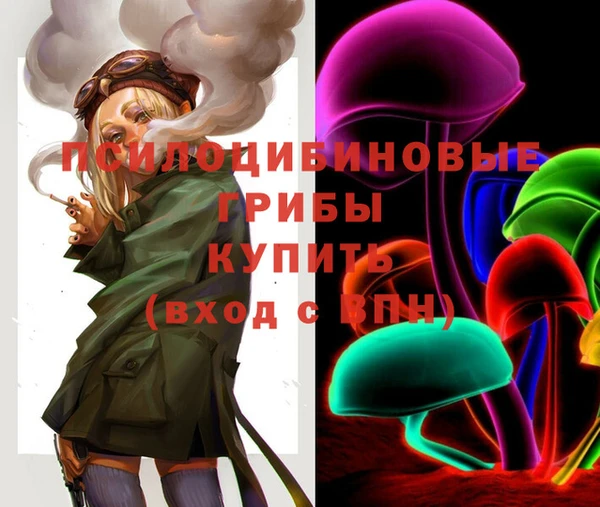 МДМА Няндома
