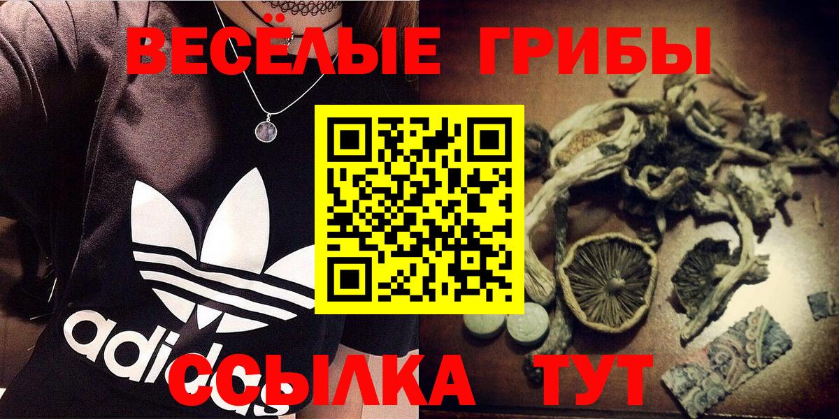 Анжеро-Судженск  Псилоцибиновые грибы GOLDEN TEACHER  Вход с VPN 